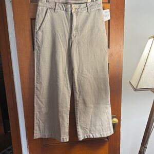 Kut from the Kloth Taupe Trousers